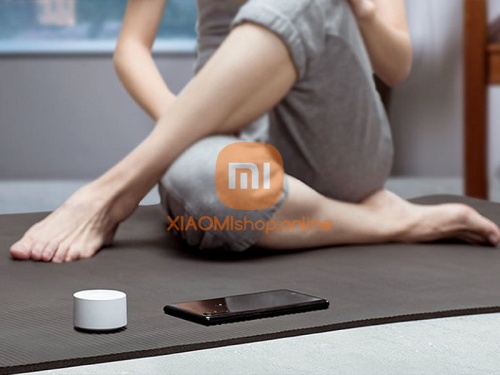 Bluetooth-колонка Xiaomi Mi Compact Bluetooth speaker 2 (MDZ-28-DI) белая фото 2