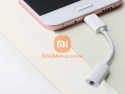 Аудио переходник Xiaomi Mi Type-C to Audio 3,5 mm Headphone Adapter фото 3